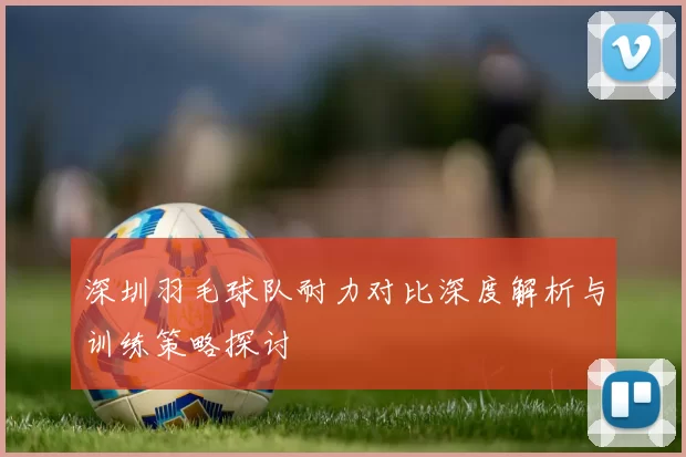 深圳羽毛球队耐力对比深度解析与训练策略探讨