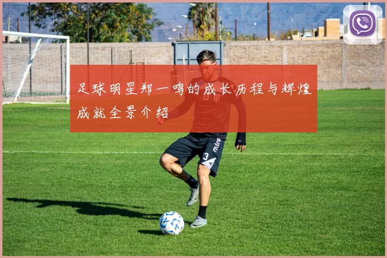 足球明星郑一鸣的成长历程与辉煌成就全景介绍