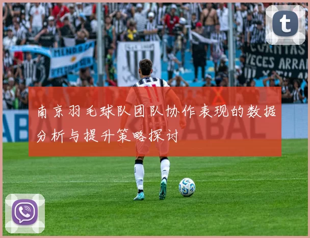 南京羽毛球队团队协作表现的数据分析与提升策略探讨