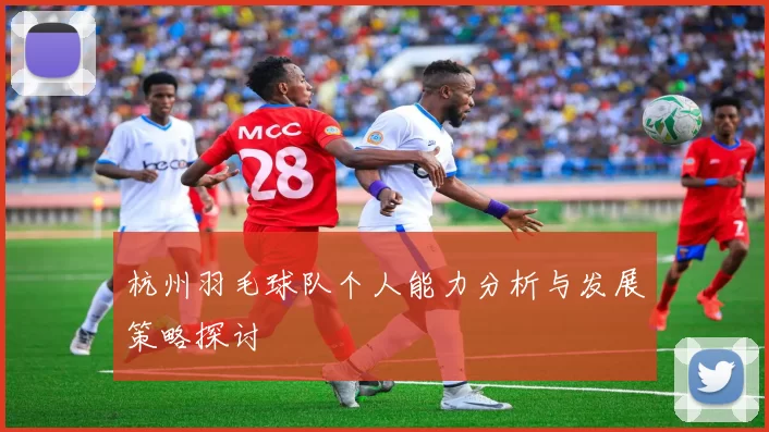 杭州羽毛球队个人能力分析与发展策略探讨