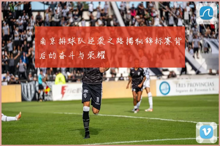南京排球队逆袭之路揭秘锦标赛背后的奋斗与荣耀