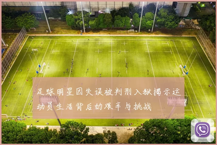 足球明星因失误被判刑入狱揭示运动员生活背后的艰辛与挑战
