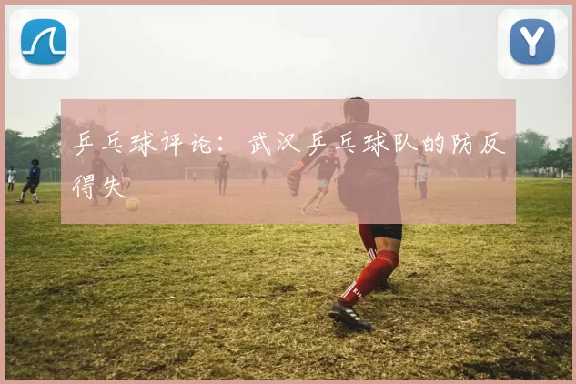 乒乓球评论：武汉乒乓球队的防反得失