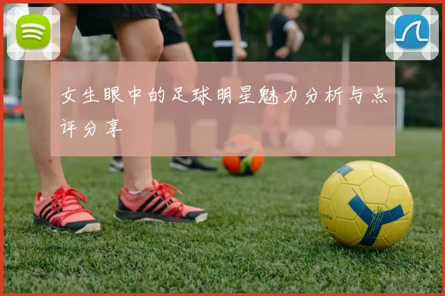 女生眼中的足球明星魅力分析与点评分享