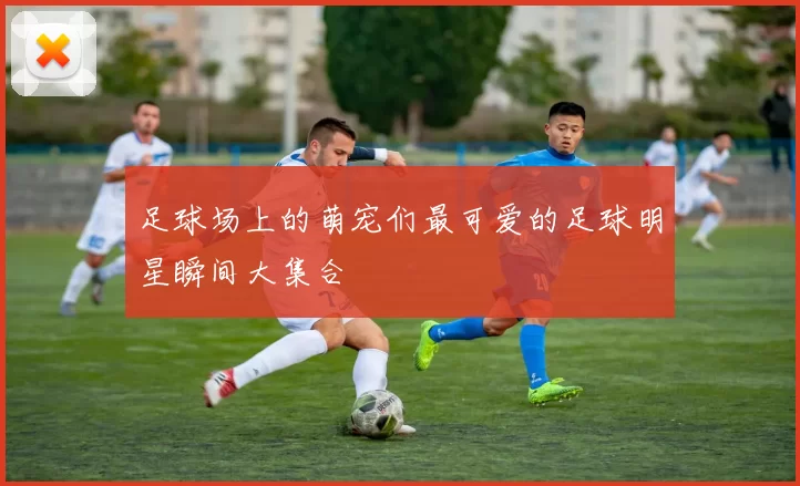 足球场上的萌宠们最可爱的足球明星瞬间大集合