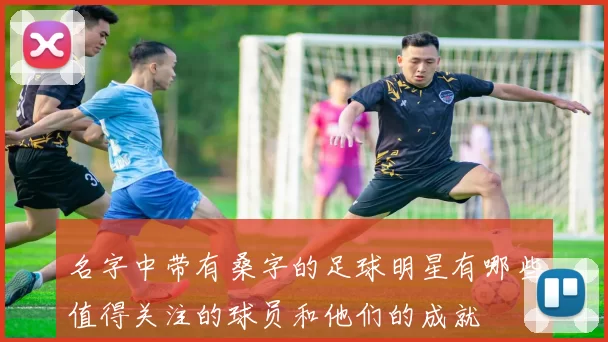 名字中带有桑字的足球明星有哪些值得关注的球员和他们的成就
