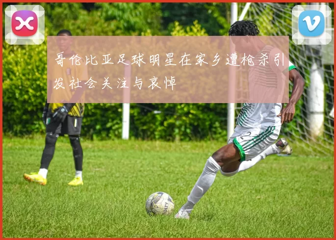 哥伦比亚足球明星在家乡遭枪杀引发社会关注与哀悼