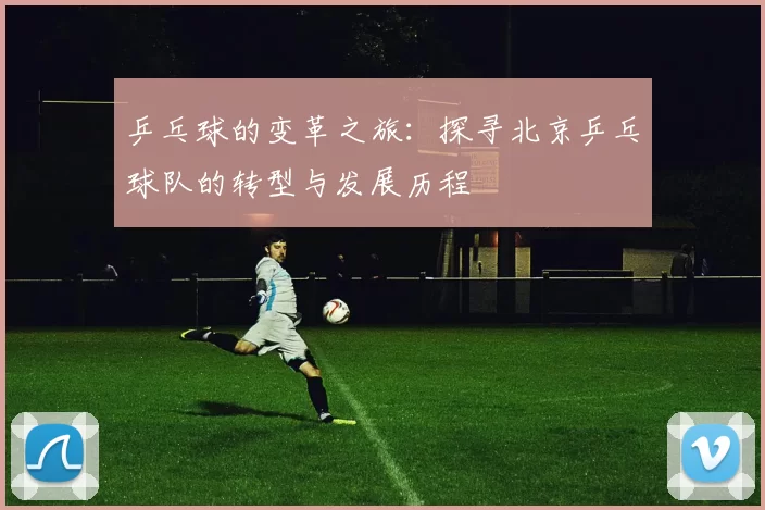 乒乓球的变革之旅：探寻北京乒乓球队的转型与发展历程
